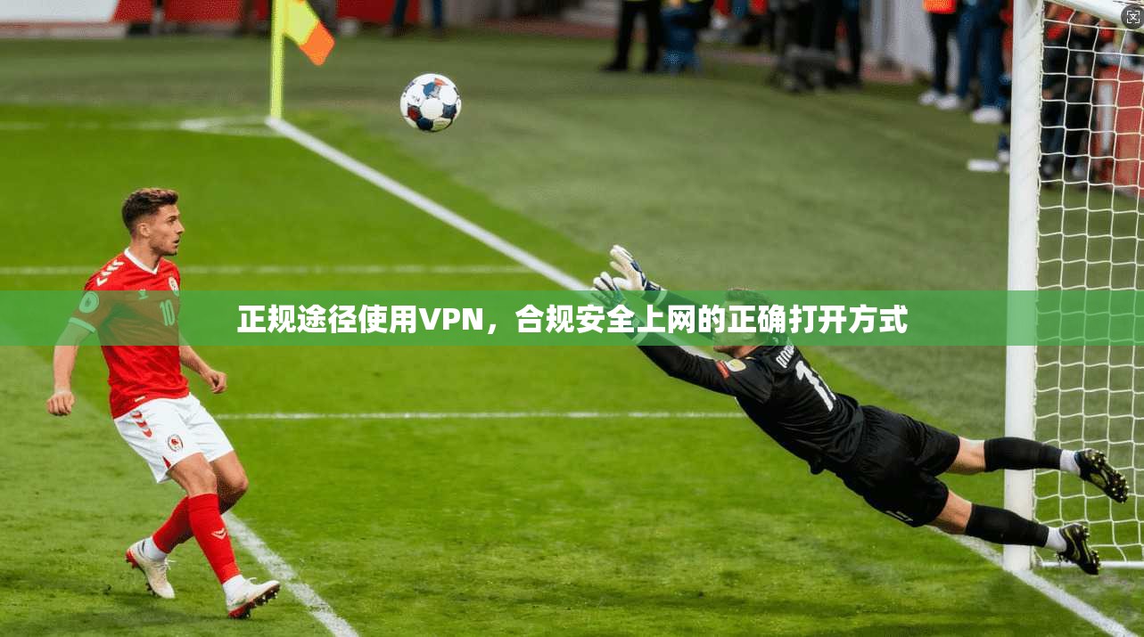 正规途径使用VPN，合规安全上网的正确打开方式  第1张