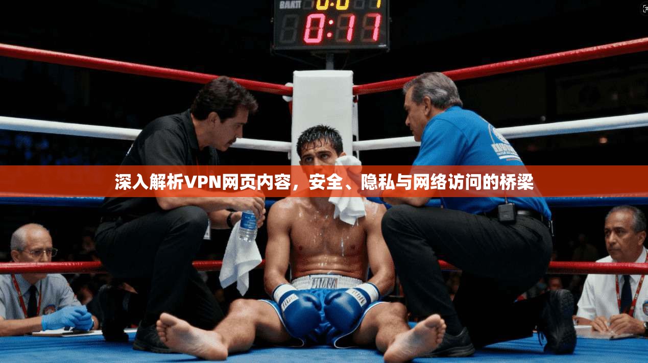 深入解析VPN网页内容，安全、隐私与网络访问的桥梁  第1张