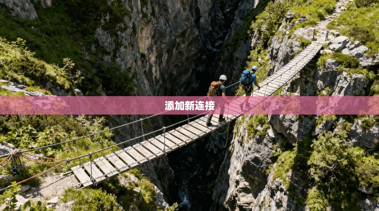添加新连接  第1张