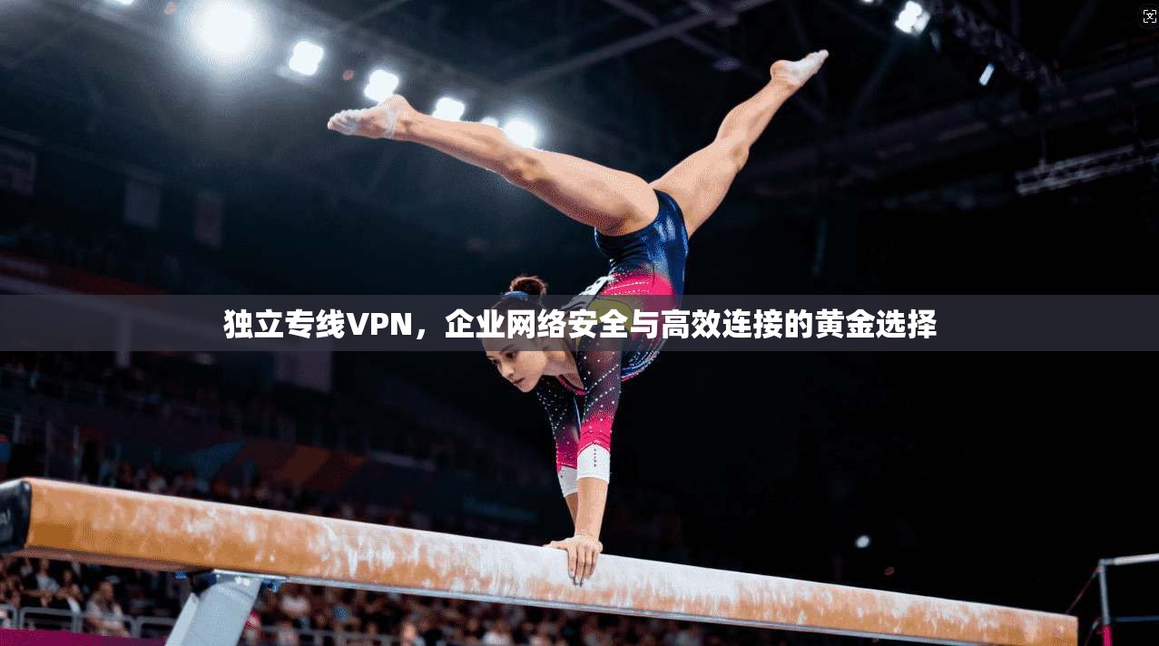 独立专线VPN，企业网络安全与高效连接的黄金选择  第1张