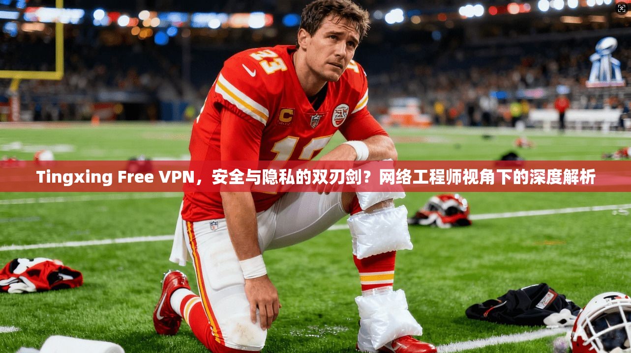 Tingxing Free VPN，安全与隐私的双刃剑？网络工程师视角下的深度解析  第1张