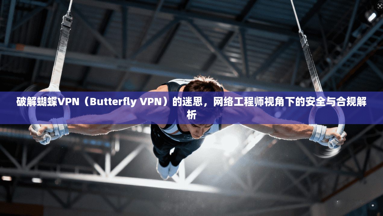 破解蝴蝶VPN（Butterfly VPN）的迷思，网络工程师视角下的安全与合规解析  第1张