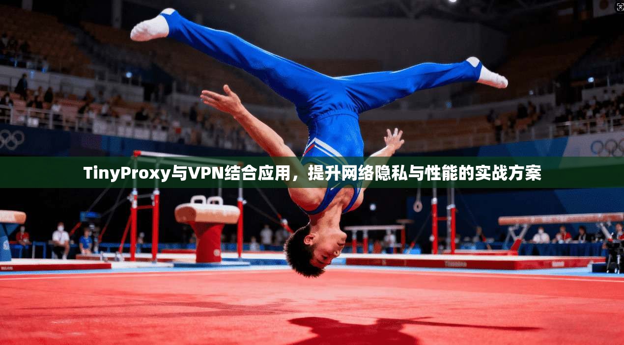 TinyProxy与VPN结合应用，提升网络隐私与性能的实战方案  第1张