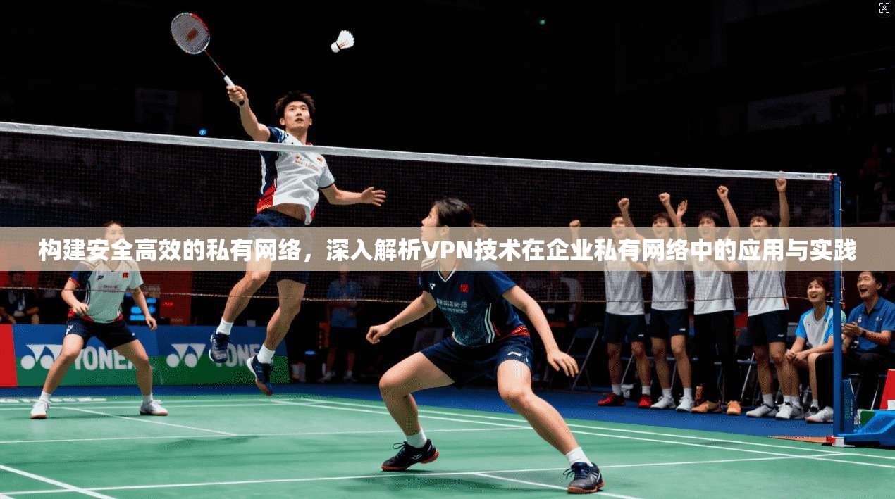 构建安全高效的私有网络，深入解析VPN技术在企业私有网络中的应用与实践  第1张