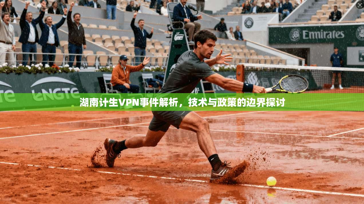 湖南计生VPN事件解析，技术与政策的边界探讨  第1张