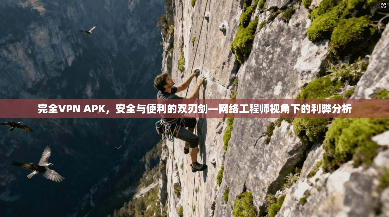 完全VPN APK，安全与便利的双刃剑—网络工程师视角下的利弊分析  第1张