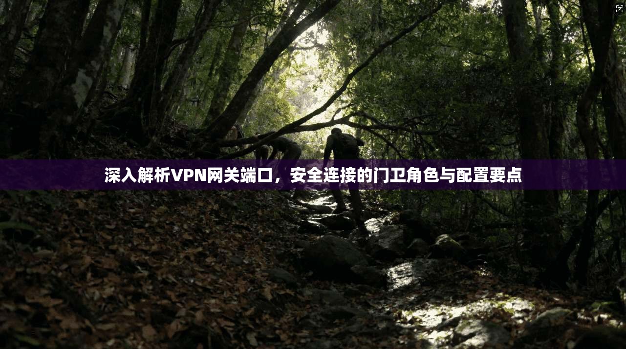 深入解析VPN网关端口，安全连接的门卫角色与配置要点  第1张