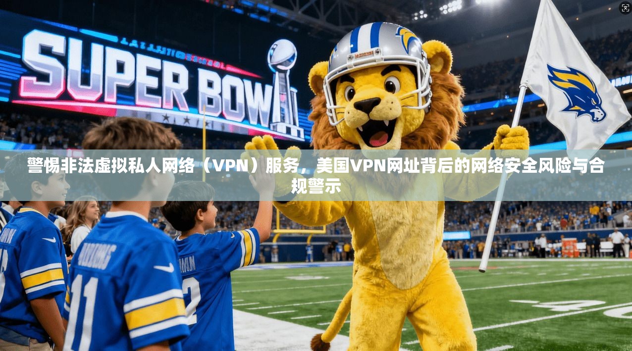 警惕非法虚拟私人网络（VPN）服务，美国VPN网址背后的网络安全风险与合规警示  第1张