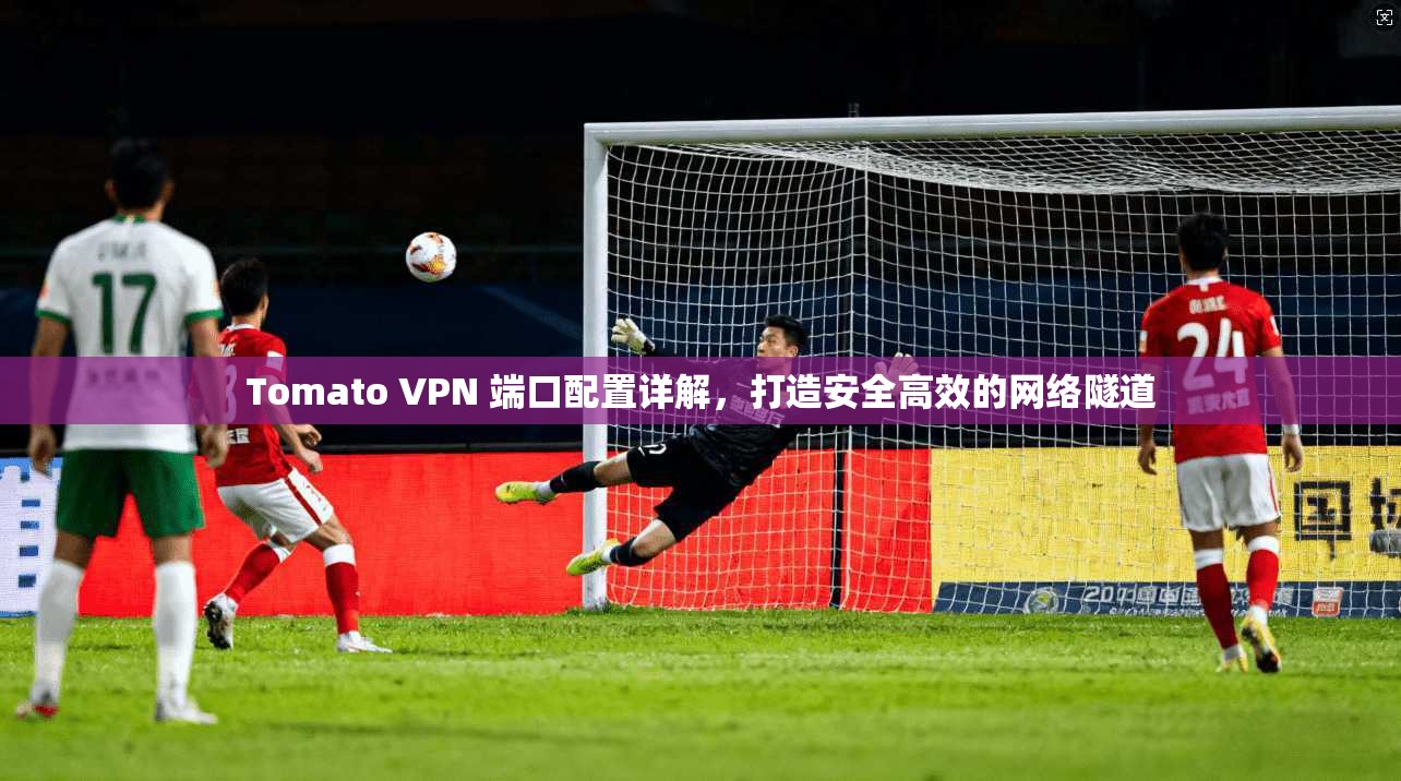 Tomato VPN 端口配置详解，打造安全高效的网络隧道  第1张