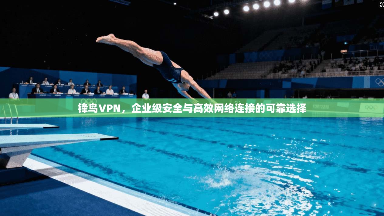 锋鸟VPN，企业级安全与高效网络连接的可靠选择  第1张