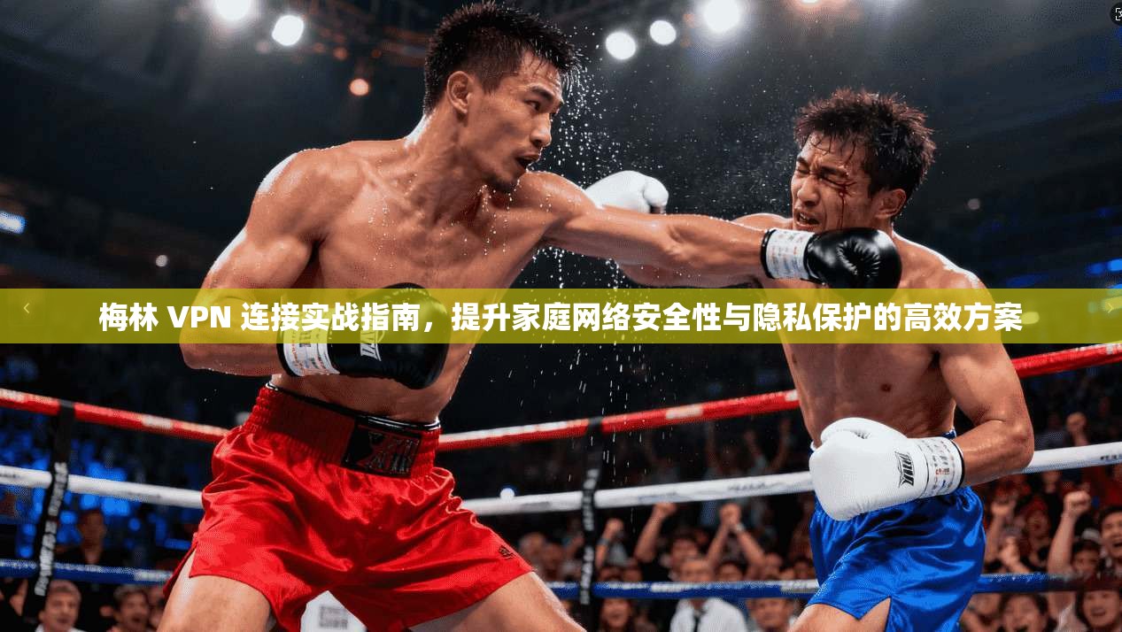 梅林 VPN 连接实战指南，提升家庭网络安全性与隐私保护的高效方案  第1张