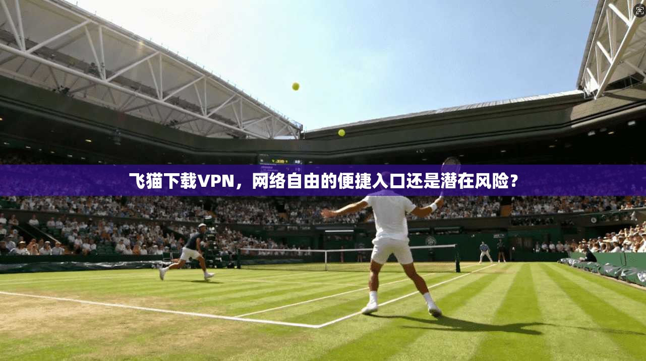 飞猫下载VPN，网络自由的便捷入口还是潜在风险？  第1张