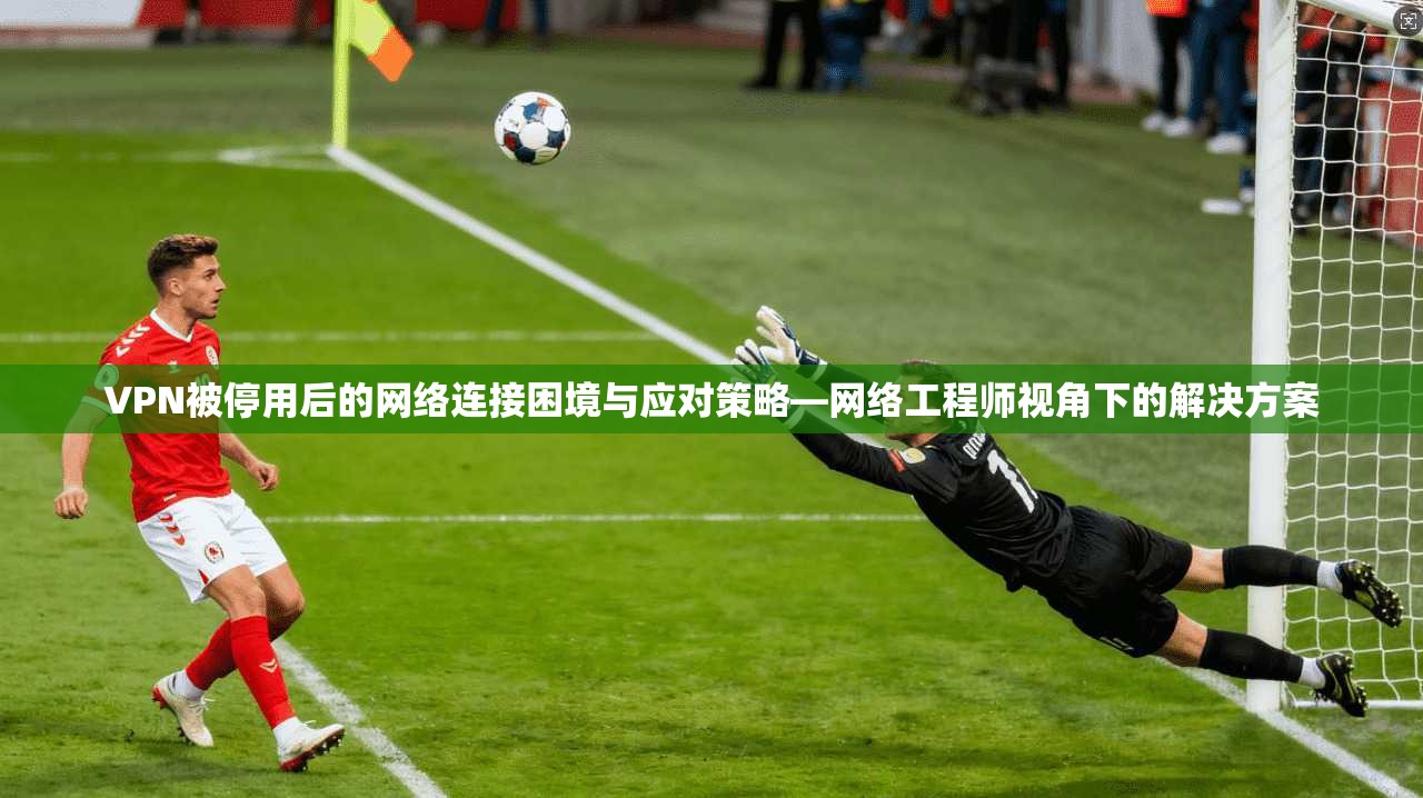 VPN被停用后的网络连接困境与应对策略—网络工程师视角下的解决方案  第1张
