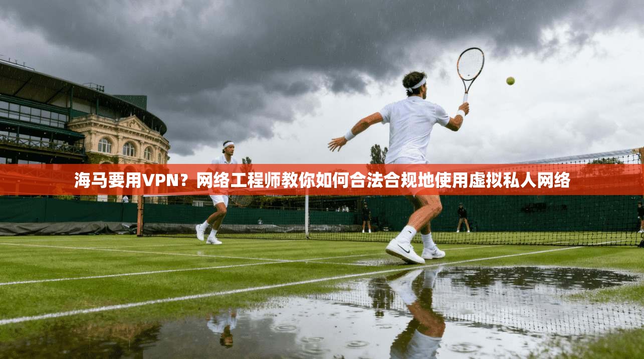 海马要用VPN？网络工程师教你如何合法合规地使用虚拟私人网络  第1张