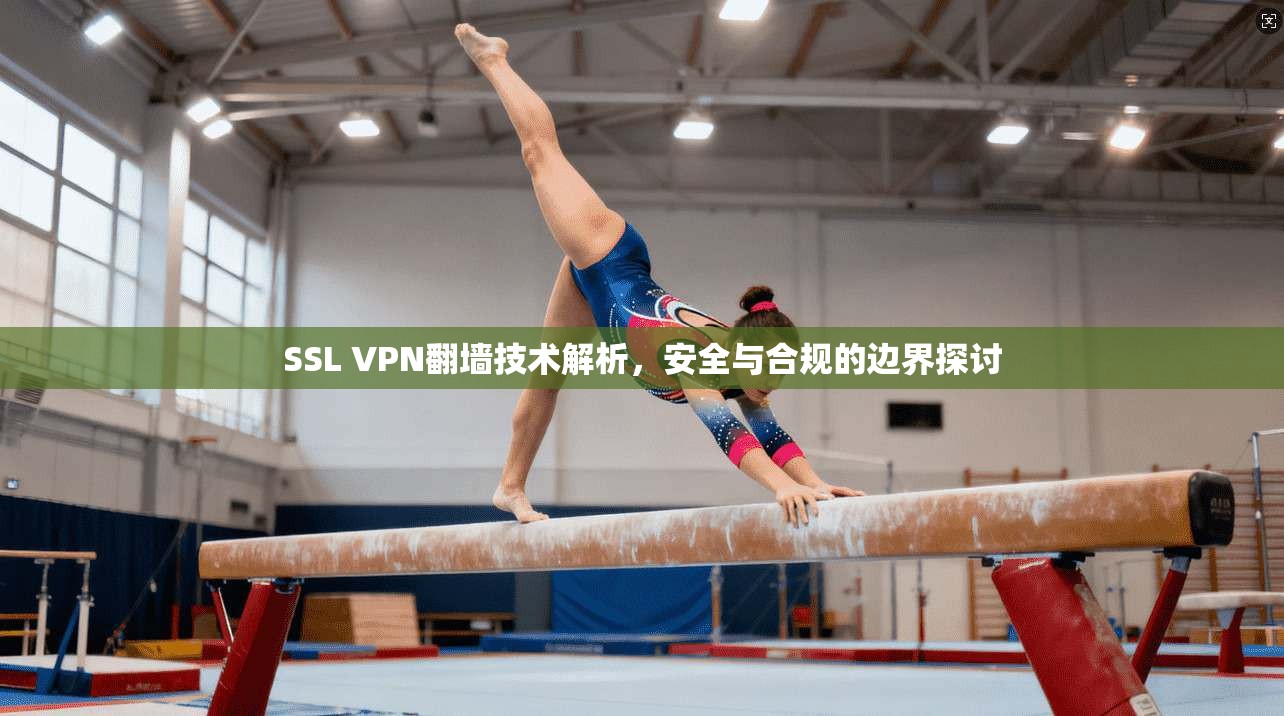 SSL VPN翻墙技术解析，安全与合规的边界探讨  第1张