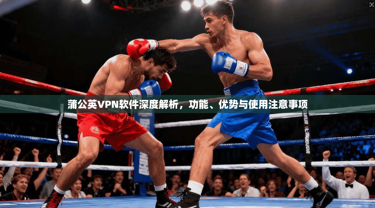 蒲公英VPN软件深度解析，功能、优势与使用注意事项  第1张