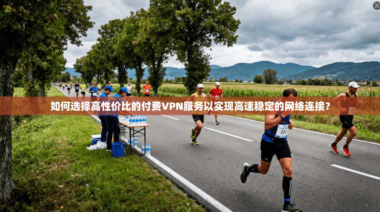 如何选择高性价比的付费VPN服务以实现高速稳定的网络连接？  第1张