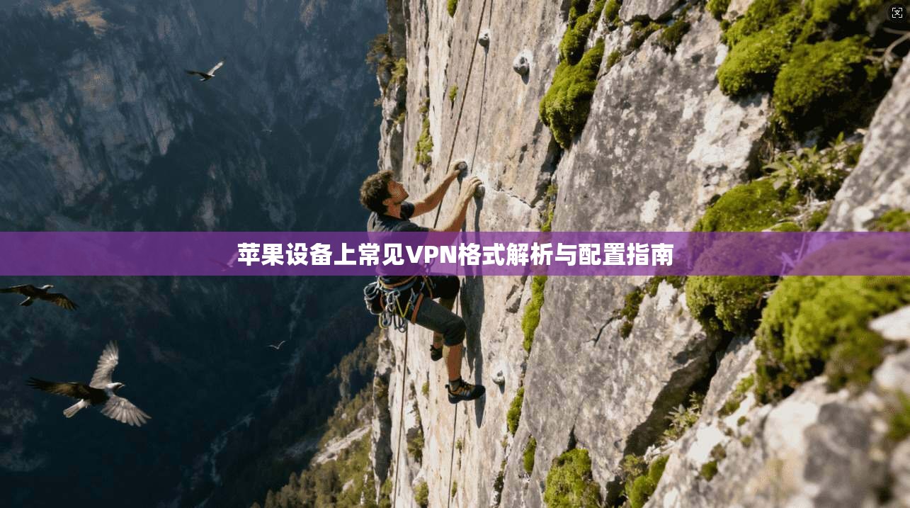 苹果设备上常见VPN格式解析与配置指南  第1张