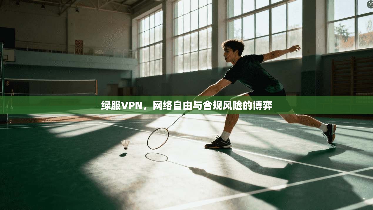 绿服VPN，网络自由与合规风险的博弈  第1张