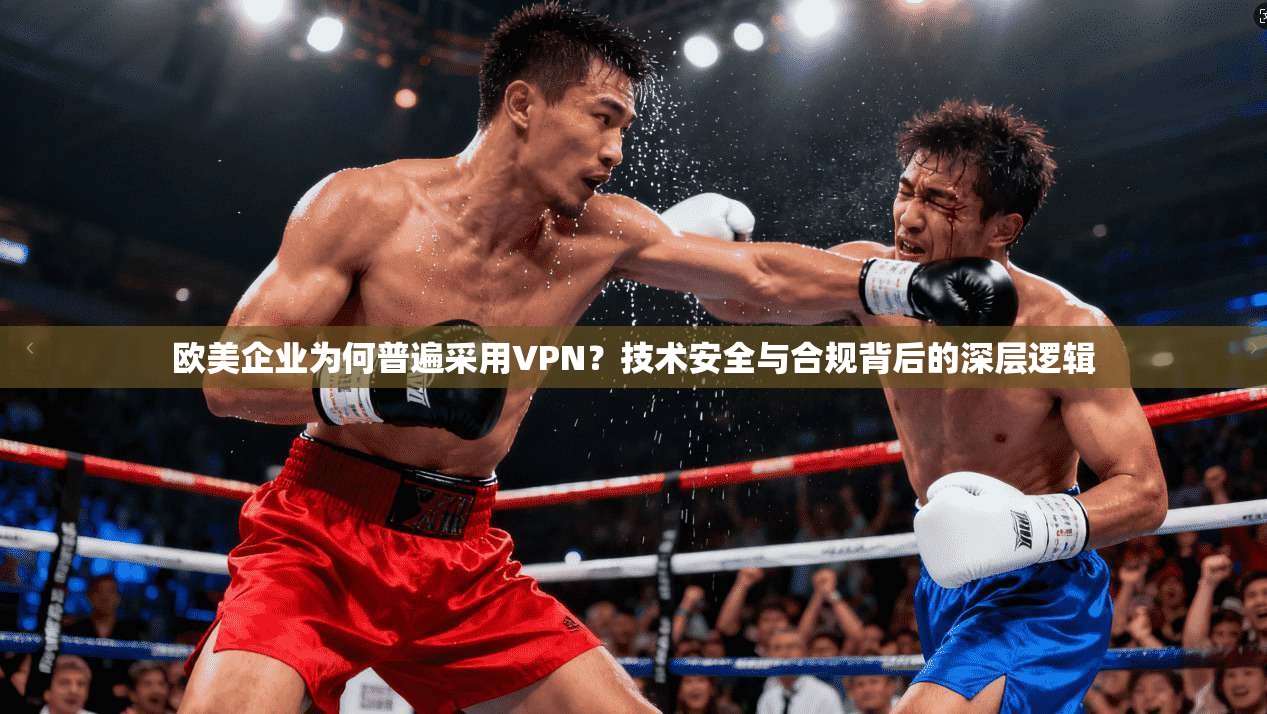 欧美企业为何普遍采用VPN？技术安全与合规背后的深层逻辑  第1张