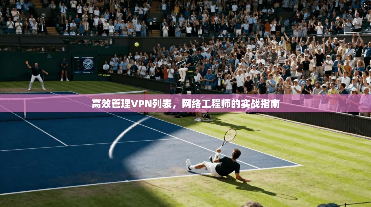 高效管理VPN列表，网络工程师的实战指南  第1张