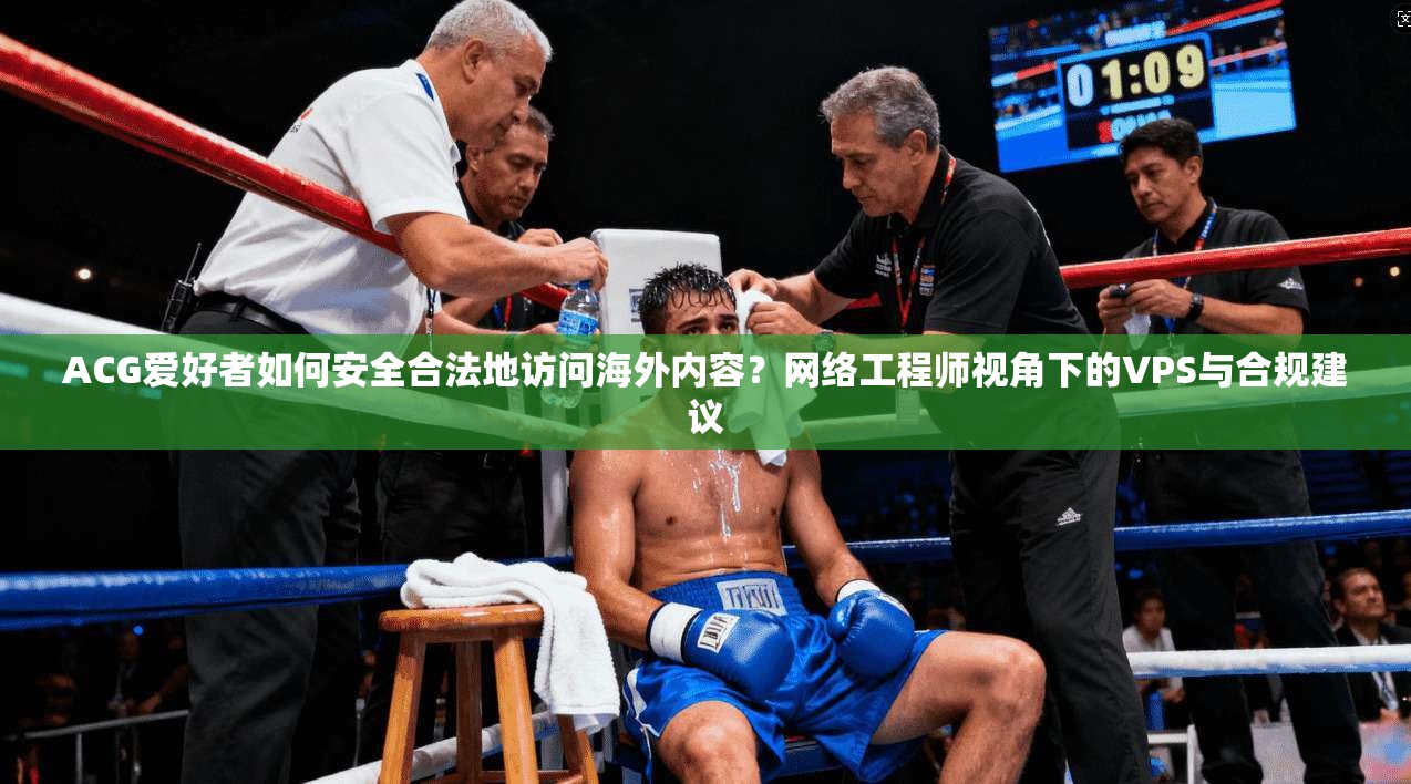 ACG爱好者如何安全合法地访问海外内容？网络工程师视角下的VPS与合规建议  第1张
