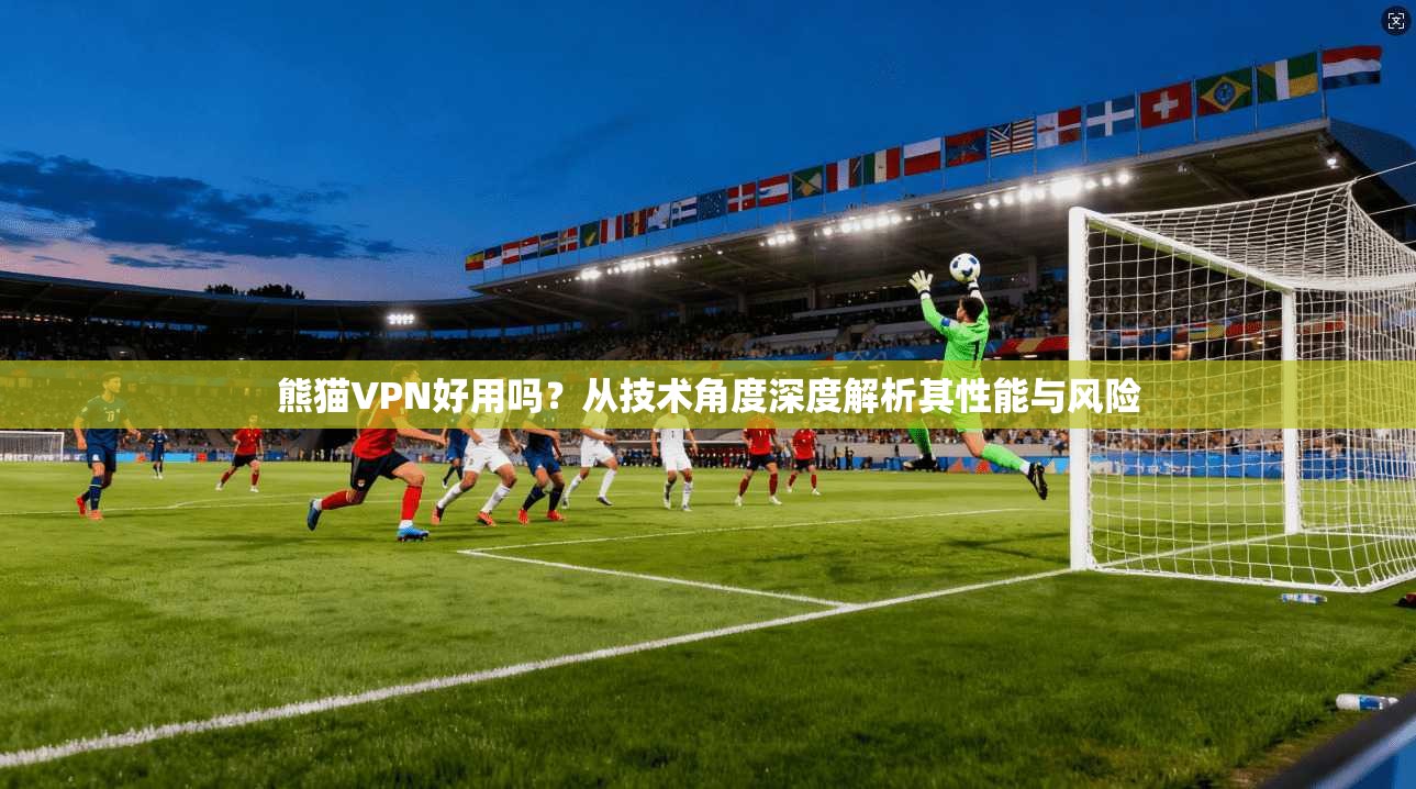 熊猫VPN好用吗？从技术角度深度解析其性能与风险  第1张