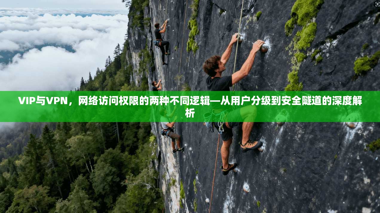 VIP与VPN，网络访问权限的两种不同逻辑—从用户分级到安全隧道的深度解析  第1张