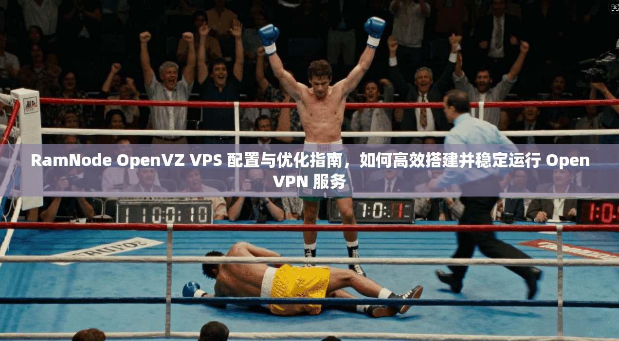 RamNode OpenVZ VPS 配置与优化指南，如何高效搭建并稳定运行 OpenVPN 服务  第1张