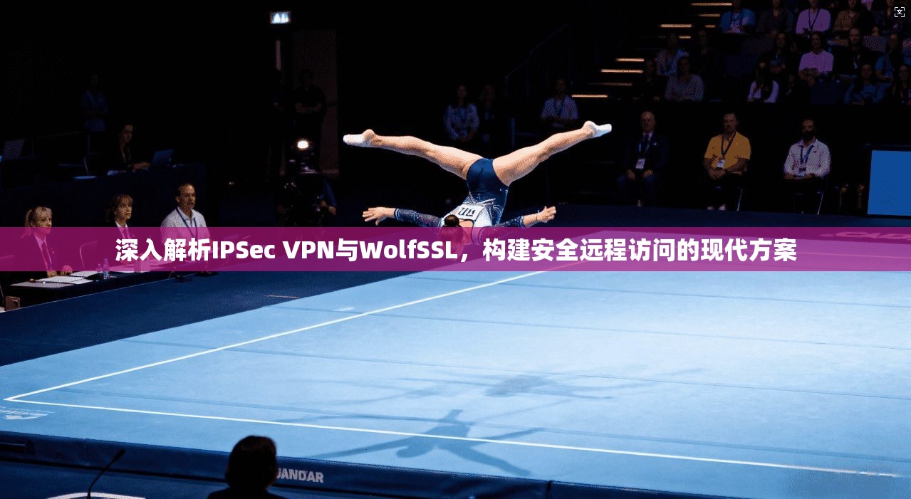 深入解析IPSec VPN与WolfSSL，构建安全远程访问的现代方案  第1张