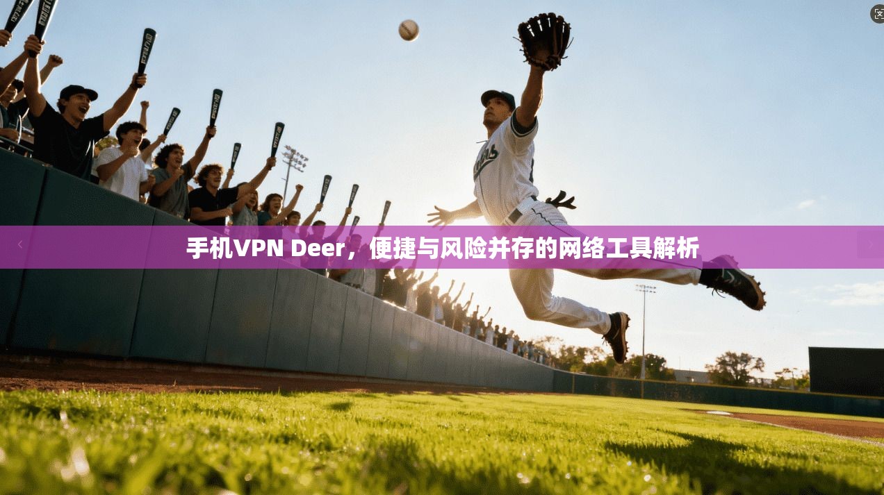 手机VPN Deer，便捷与风险并存的网络工具解析  第1张