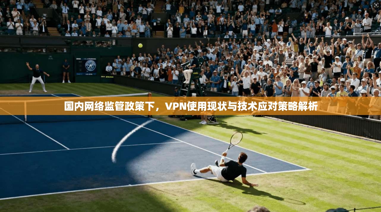 国内网络监管政策下，VPN使用现状与技术应对策略解析  第1张