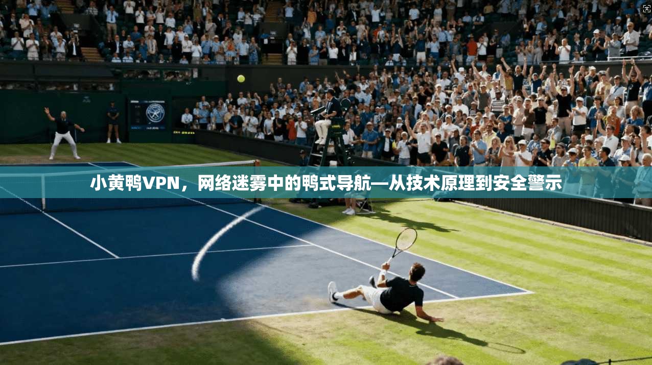 小黄鸭VPN，网络迷雾中的鸭式导航—从技术原理到安全警示  第1张