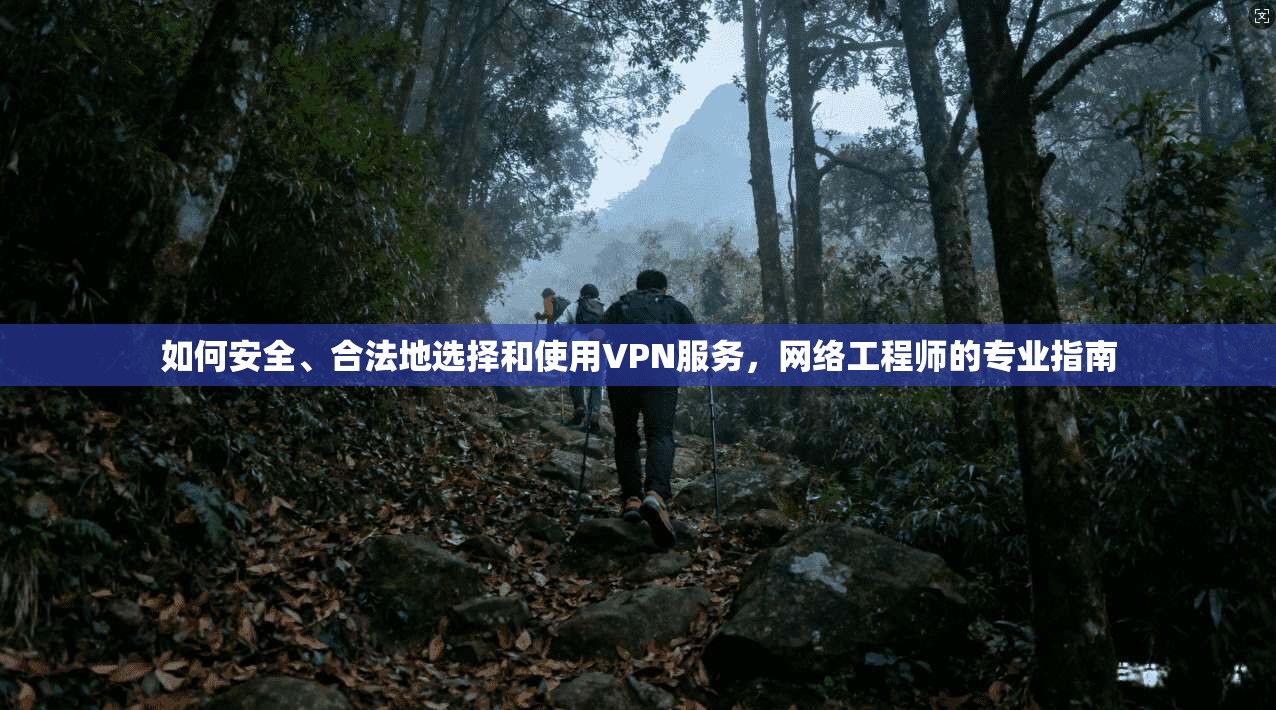 如何安全、合法地选择和使用VPN服务，网络工程师的专业指南  第1张