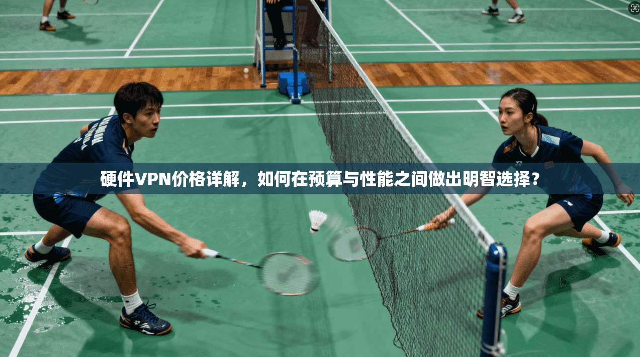 硬件VPN价格详解，如何在预算与性能之间做出明智选择？  第1张