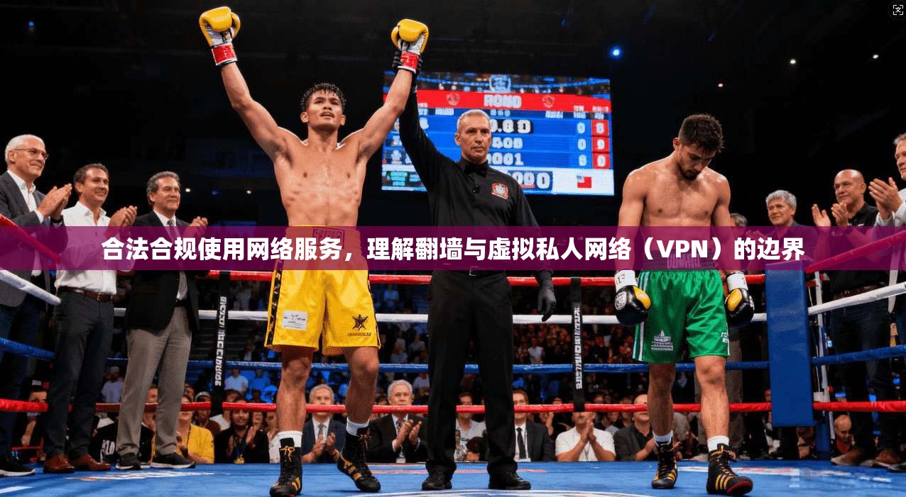 合法合规使用网络服务，理解翻墙与虚拟私人网络（VPN）的边界  第1张