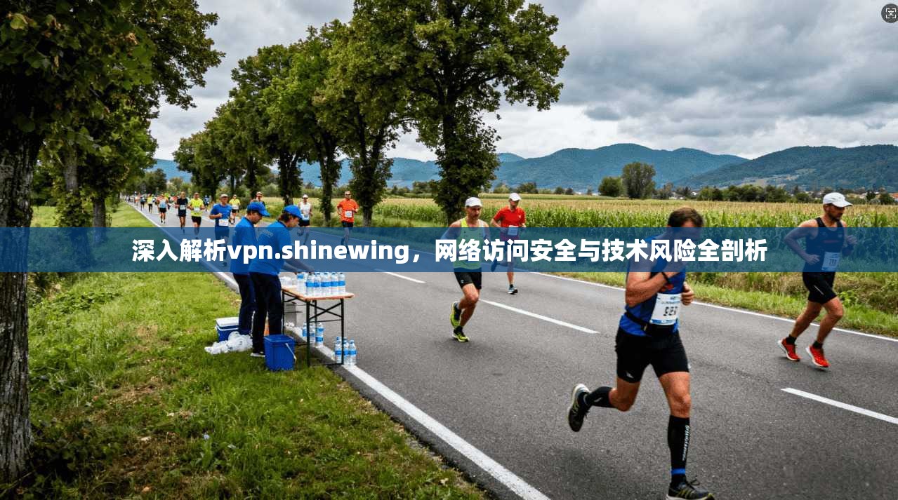 深入解析vpn.shinewing，网络访问安全与技术风险全剖析  第1张