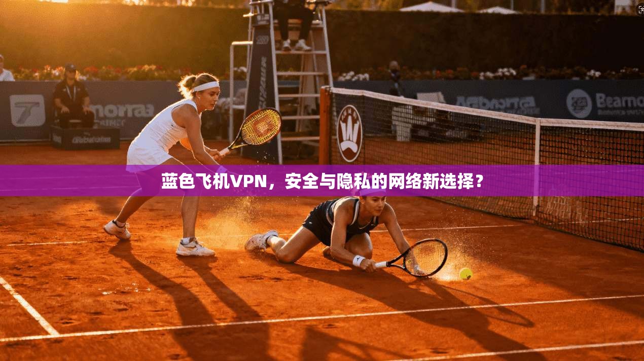 蓝色飞机VPN，安全与隐私的网络新选择？  第1张