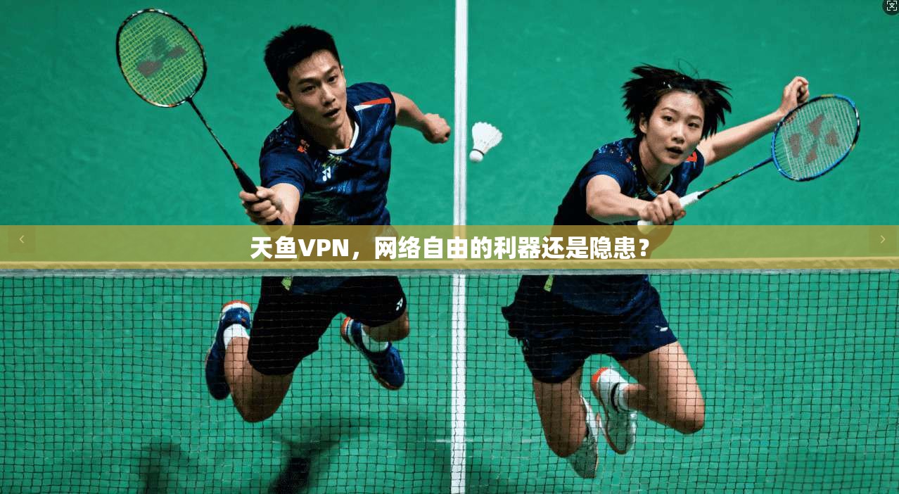 天鱼VPN，网络自由的利器还是隐患？  第1张