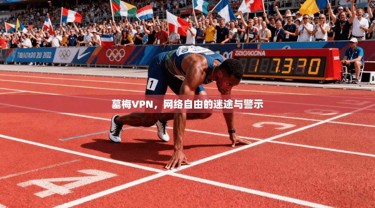 墓梅VPN，网络自由的迷途与警示  第1张