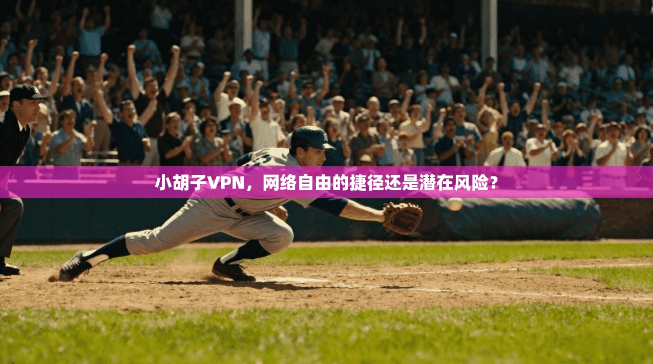 小胡子VPN，网络自由的捷径还是潜在风险？  第1张