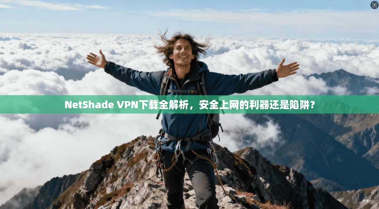 NetShade VPN下载全解析，安全上网的利器还是陷阱？  第1张