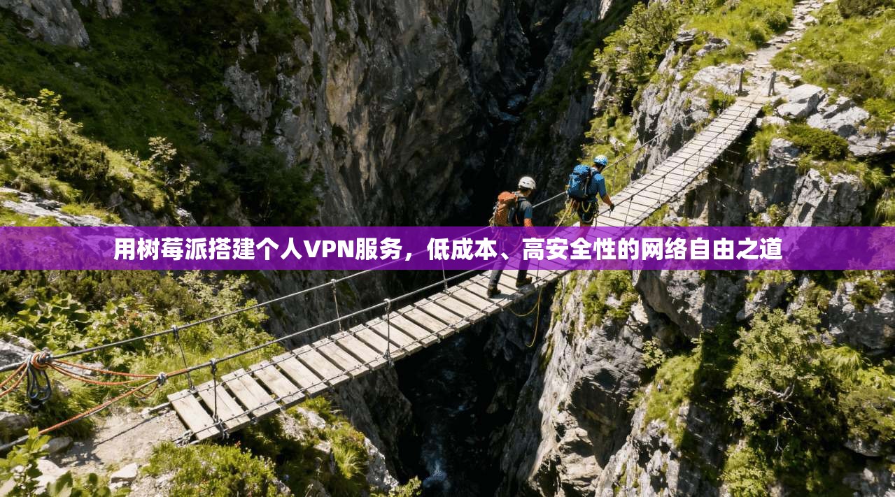 用树莓派搭建个人VPN服务，低成本、高安全性的网络自由之道  第1张