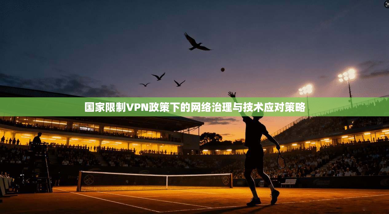 国家限制VPN政策下的网络治理与技术应对策略  第1张