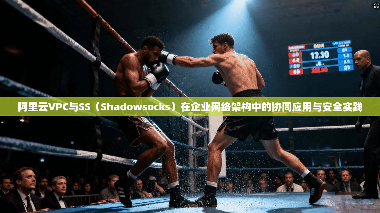 阿里云VPC与SS（Shadowsocks）在企业网络架构中的协同应用与安全实践  第1张