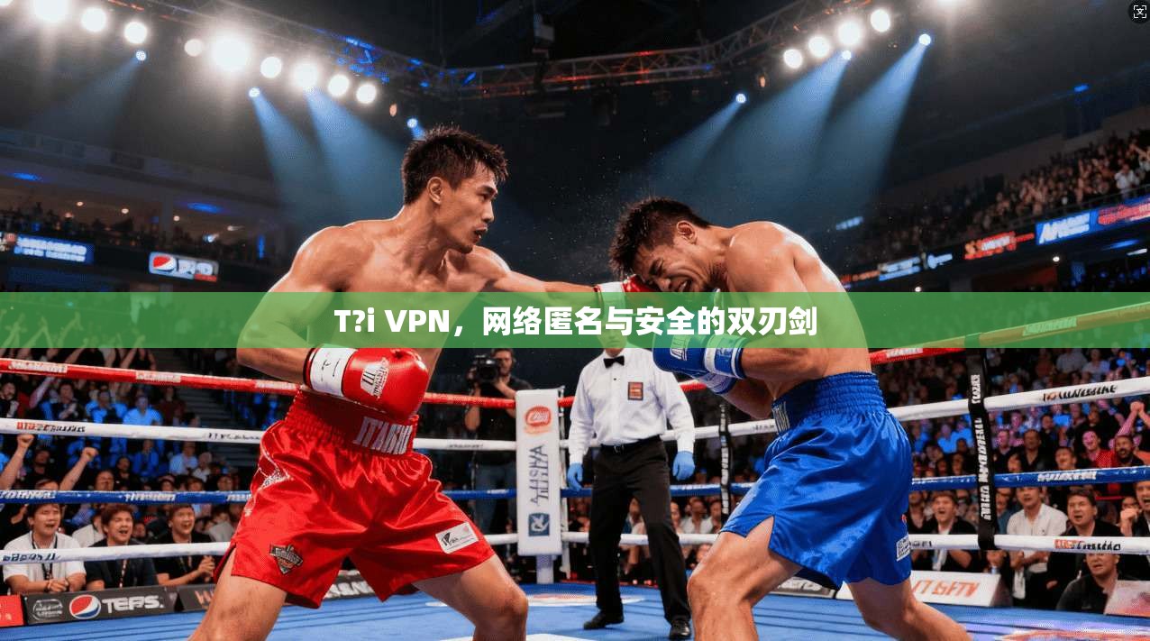 T?i VPN，网络匿名与安全的双刃剑  第1张