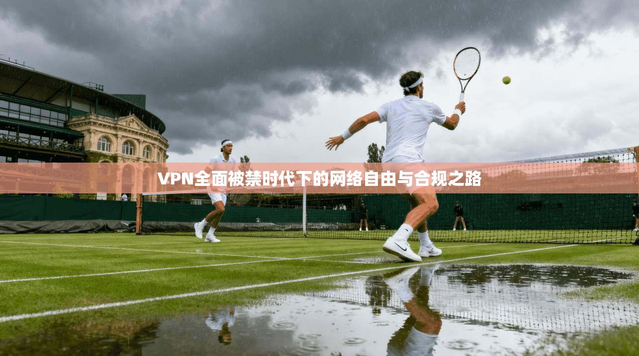 VPN全面被禁时代下的网络自由与合规之路  第1张