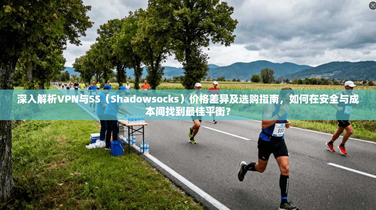 深入解析VPN与SS（Shadowsocks）价格差异及选购指南，如何在安全与成本间找到最佳平衡？  第1张