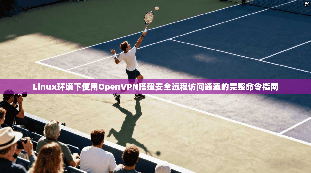 Linux环境下使用OpenVPN搭建安全远程访问通道的完整命令指南  第1张