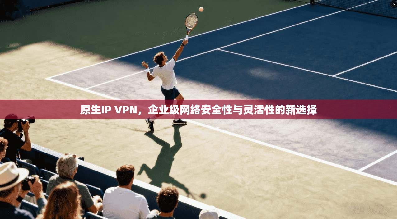 原生IP VPN，企业级网络安全性与灵活性的新选择  第1张